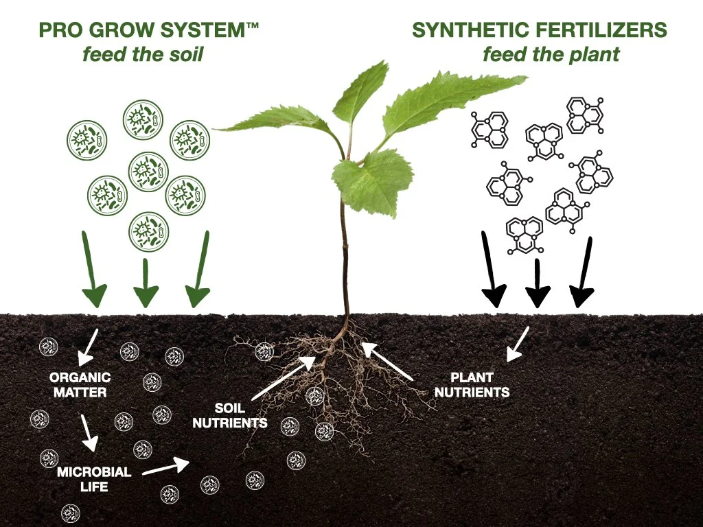 Organic fertilizer feeds the soil; synthetic fertilizer feeds only the plant