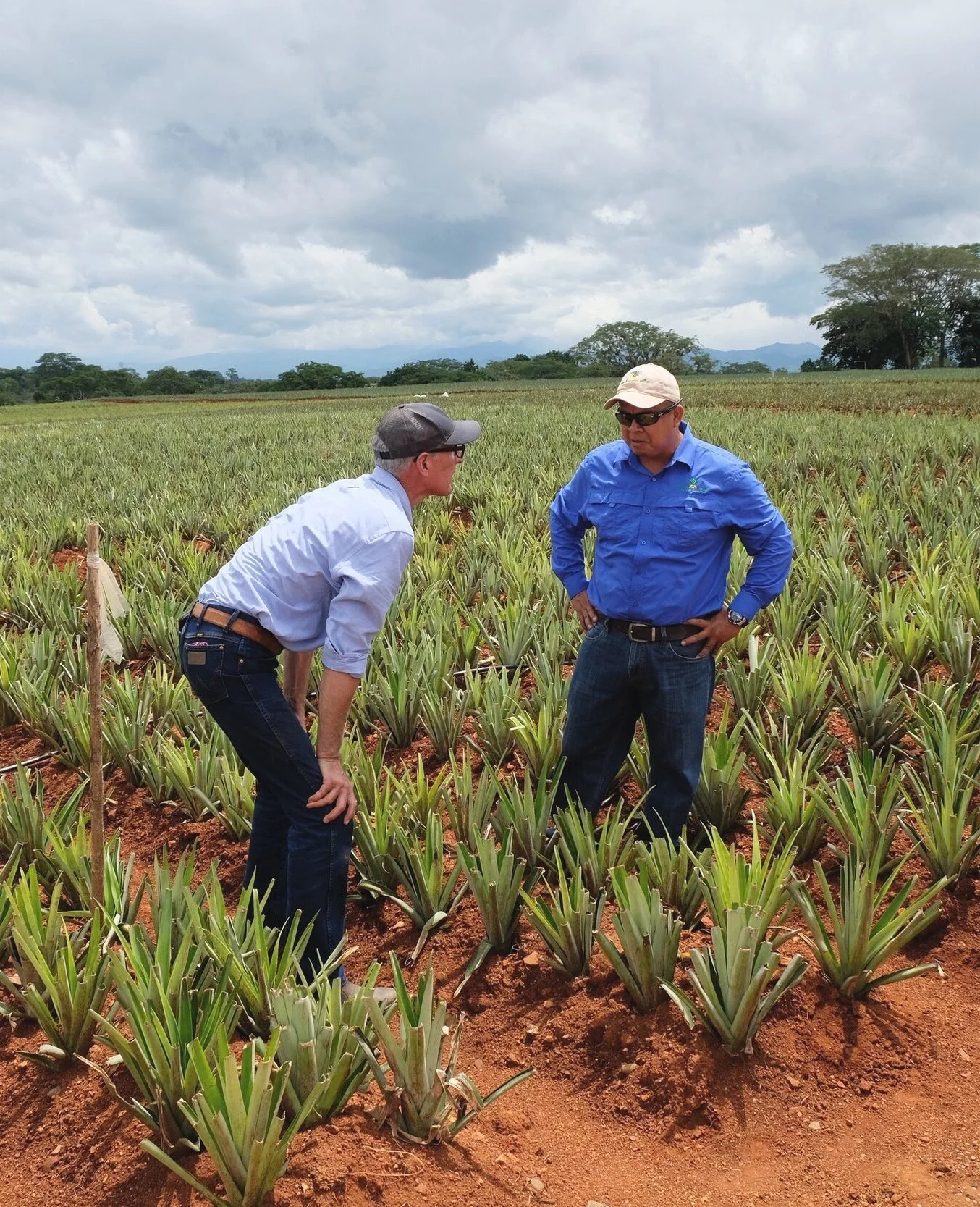 An Urth agronomist walking a field with a grower