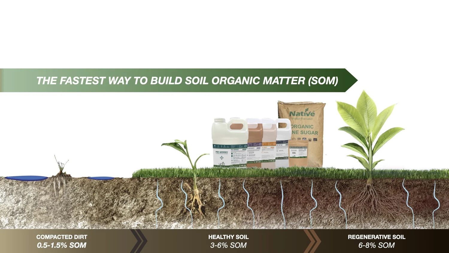 Diagram of how the SOM protocol builds soil organic matter