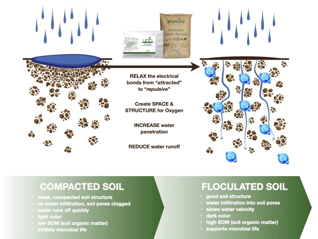 Compacted soil compared with flocculated, structured soil