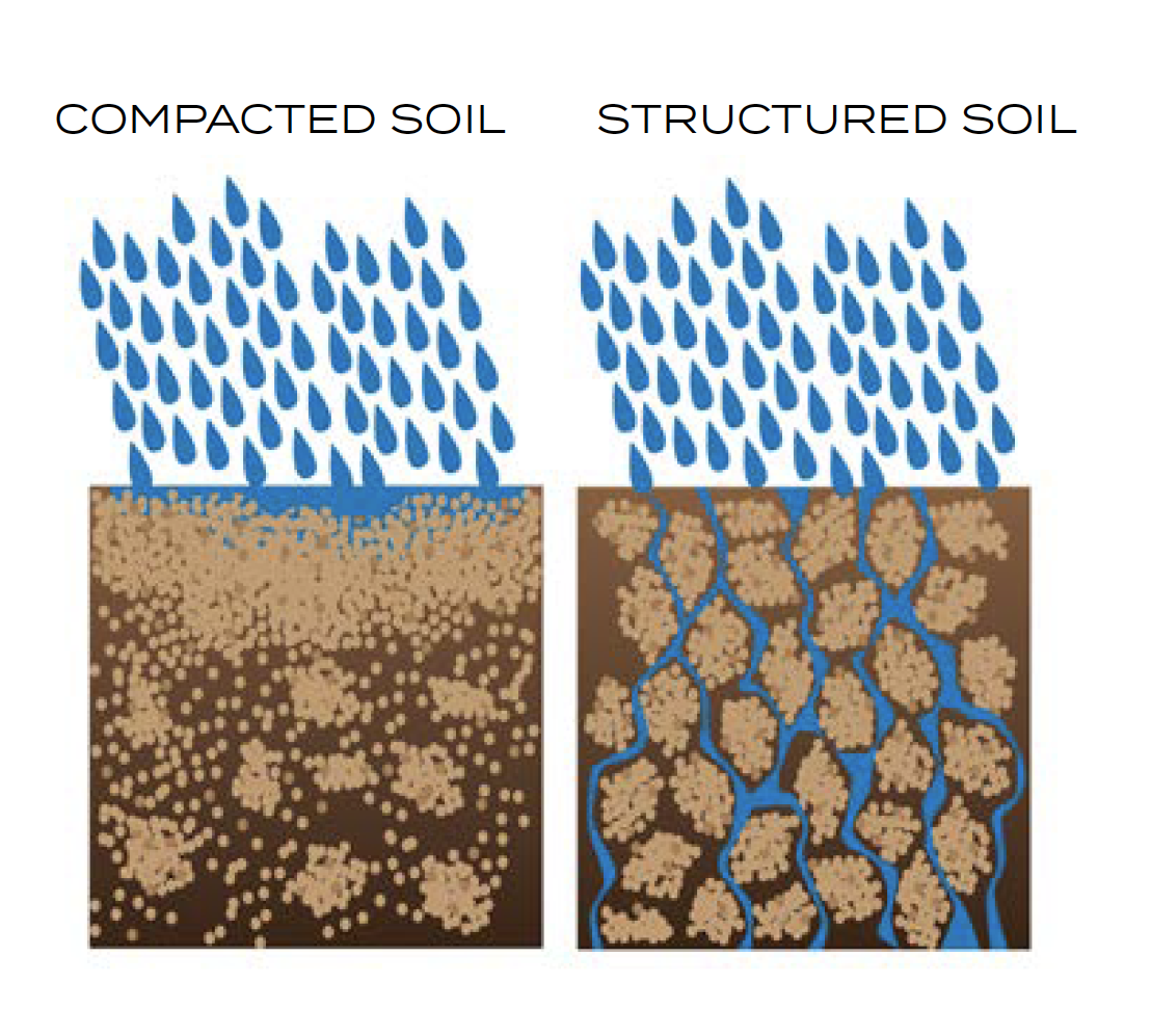 Illustration comparing compacted soil with structured soil