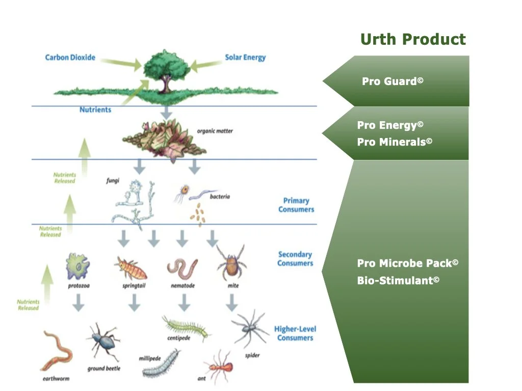 Diagram showing where each Urth product supports the soil food web