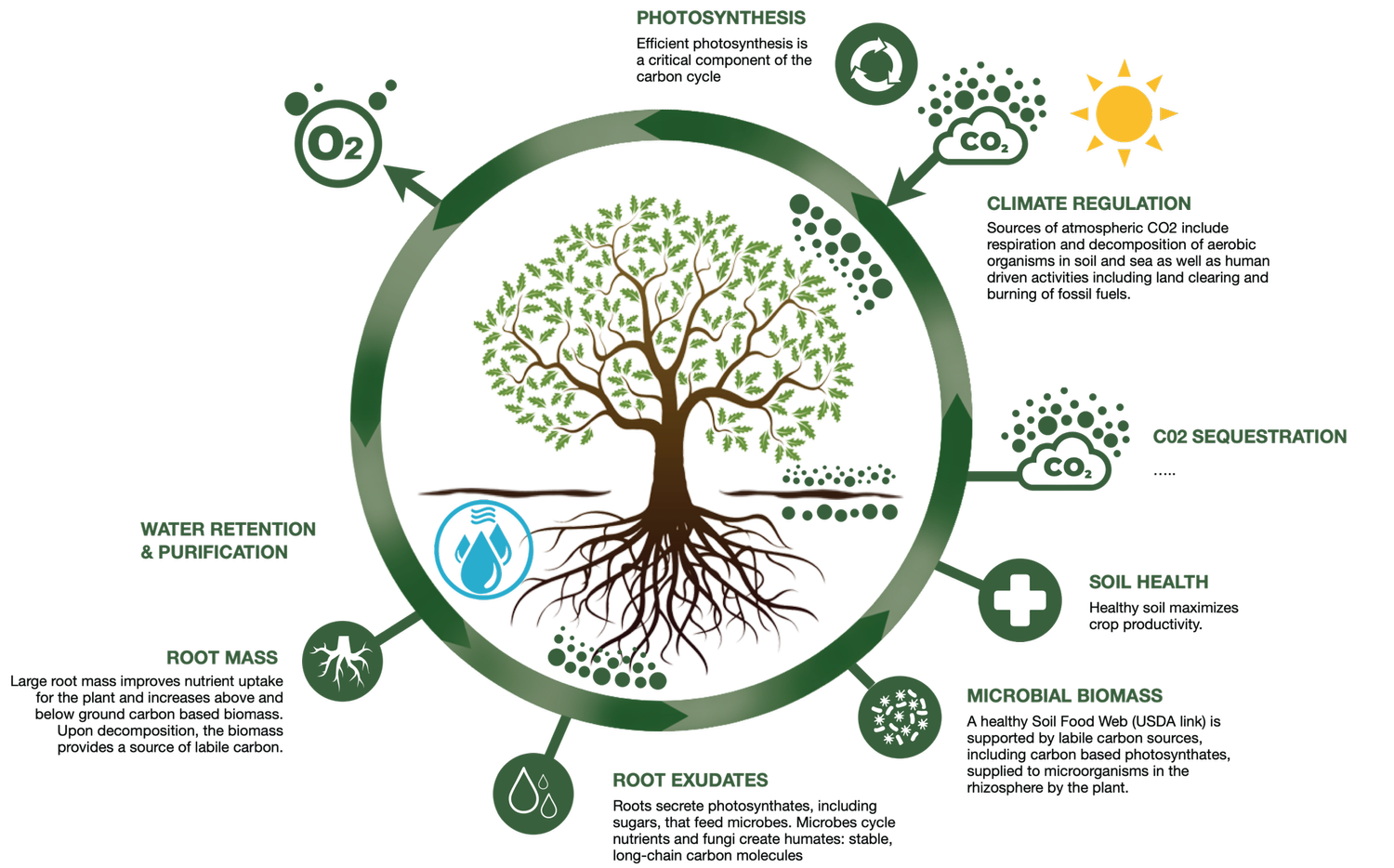 Chart of the benefits of soil organic matter