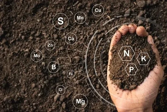 A hand holding soil with nutrient symbols