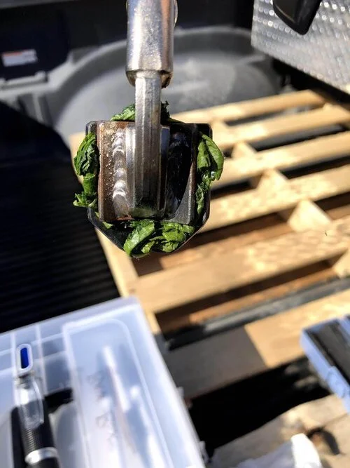 A refractometer showing a °Brix reading